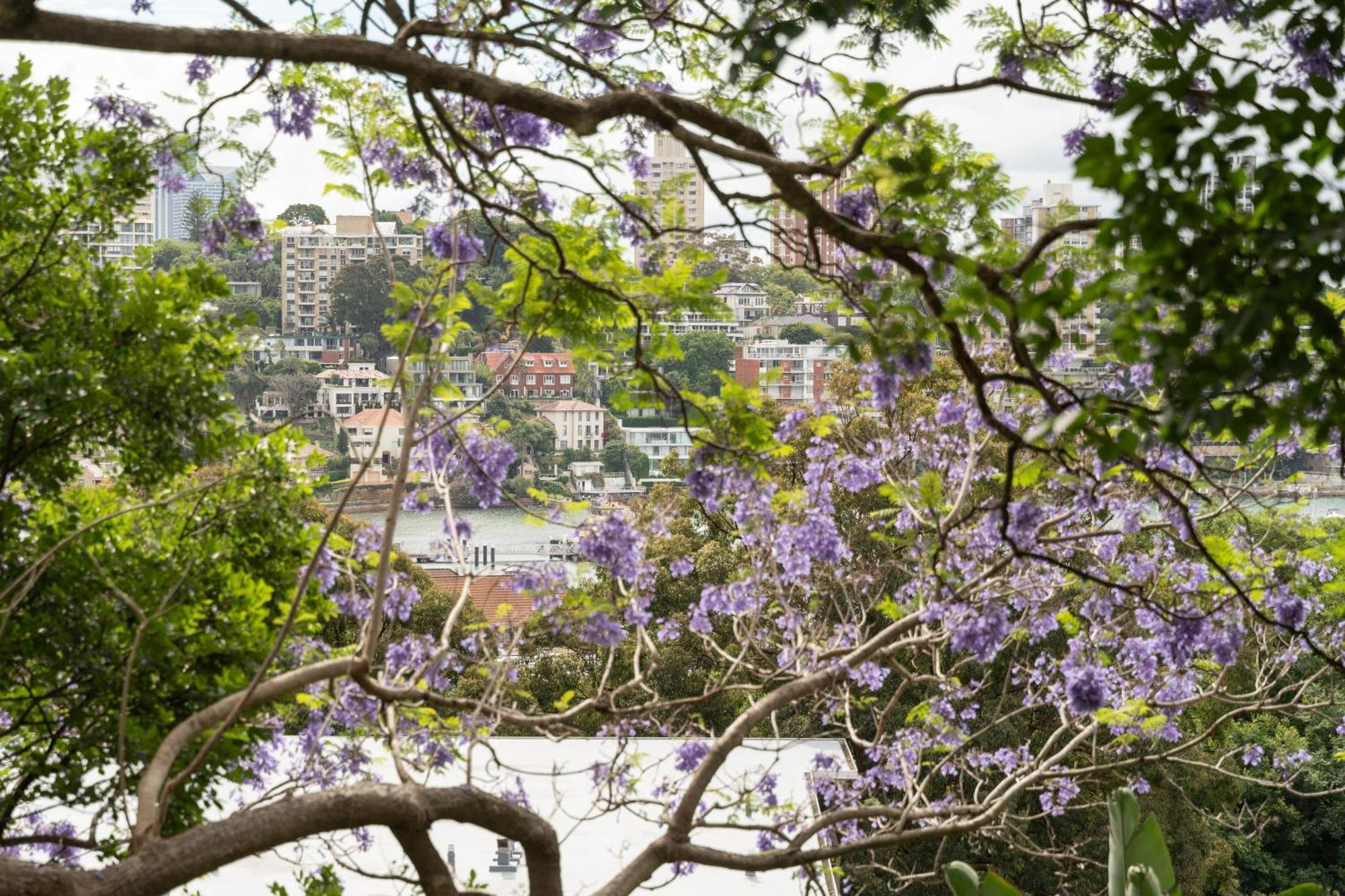 Apartment Bellevue Escape - Stylish Bellevue Hill Sydney